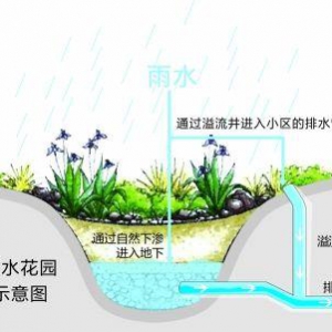 遇大雨可先储存 武汉“海绵”小区雨水就地消化