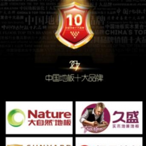 2017中国地板十大品牌网络评选活动