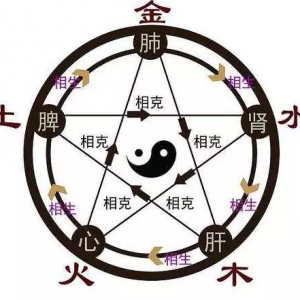 中华保护神：中医的气、阴阳与五行之厉害！